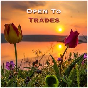 🌷Open To Trades 🌷